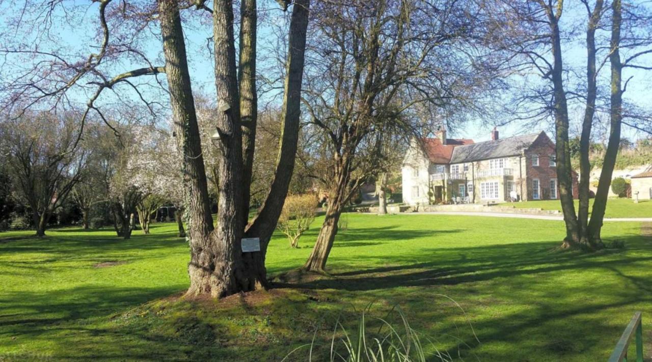 17Th-Century One Bed Studio With Parking & Garden! Elkesley Exteriör bild