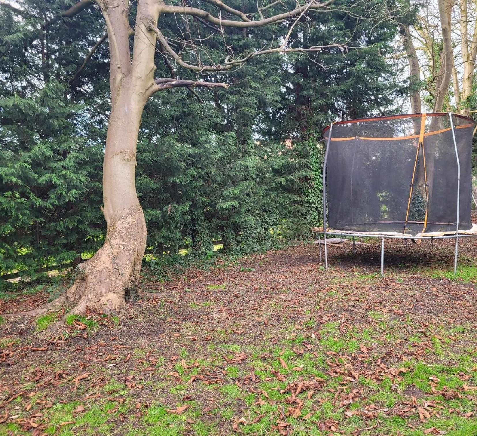 17Th-Century One Bed Studio With Parking & Garden! Elkesley Exteriör bild